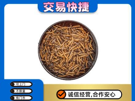 玉溪市新平回收散虫草