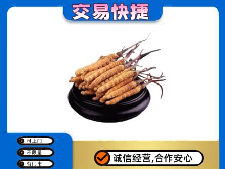 玉溪市新平礼品回收散虫草.jpg
